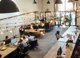 people-sitting-in-front-of-computer-monitors