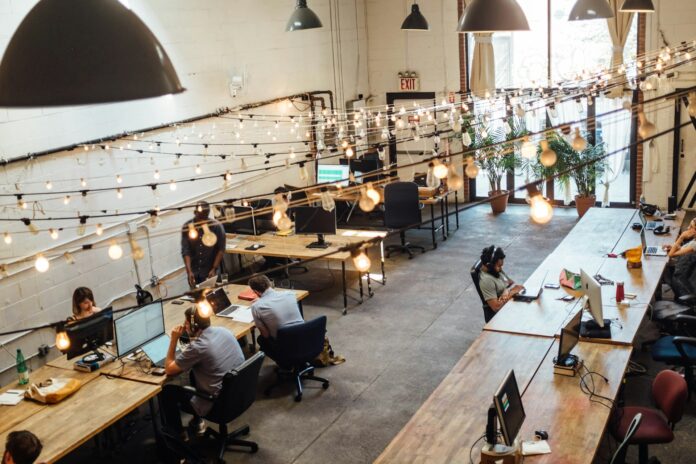 people-sitting-in-front-of-computer-monitors